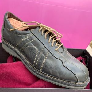 Allen Edmond voyager 8.5 D NWT!  W/shoe horns